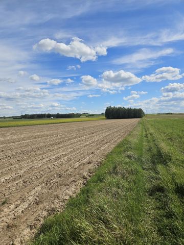 Działka budowlana Czermno. Zdjęcie 7
