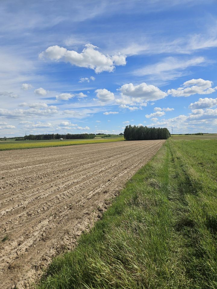 Działka budowlana Czermno. Zdjęcie 7