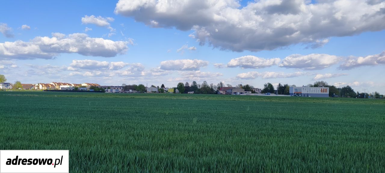 Działka budowlana Zalasewo, ul. Kórnicka. Zdjęcie 16