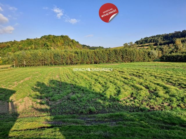 Działka rolna Polekarcice. Zdjęcie 1