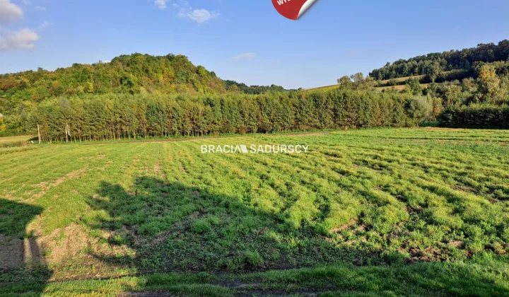 Działka rolna Polekarcice