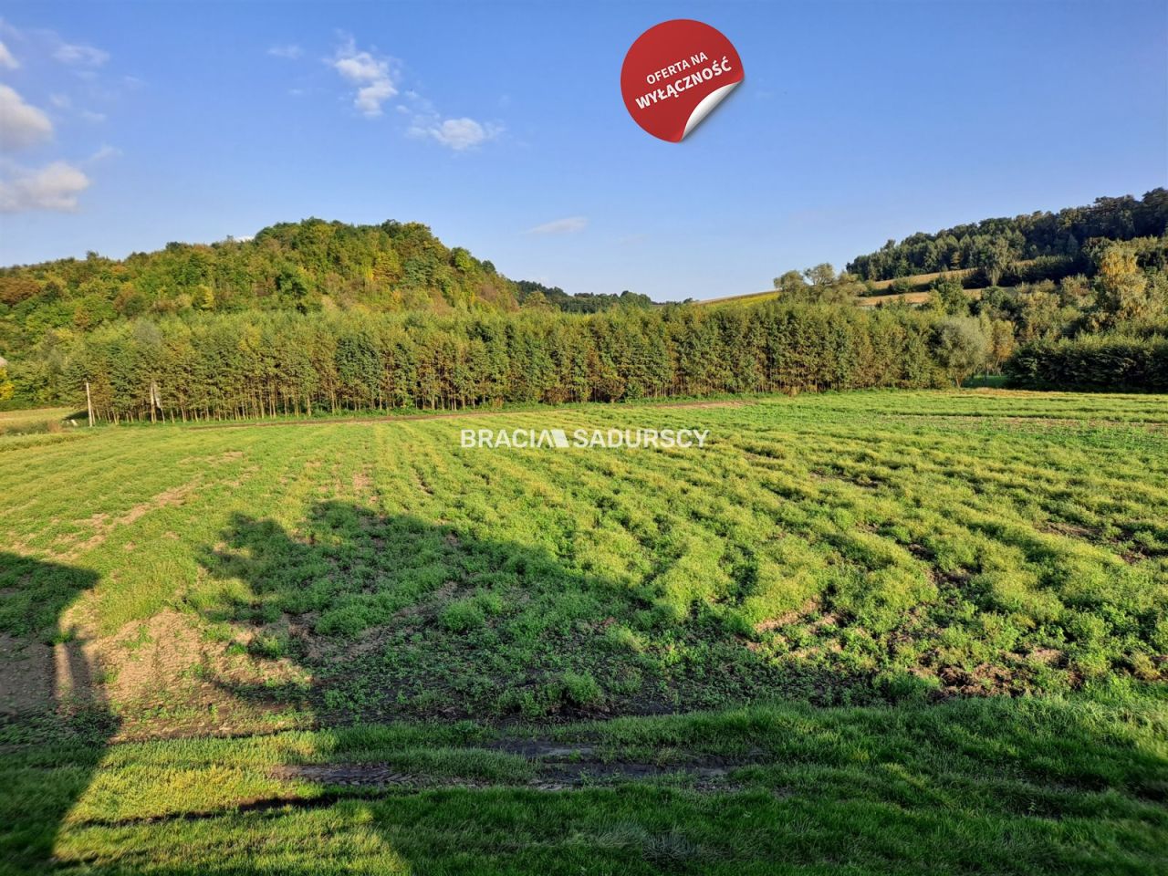 Działka rolna Polekarcice. Zdjęcie 1