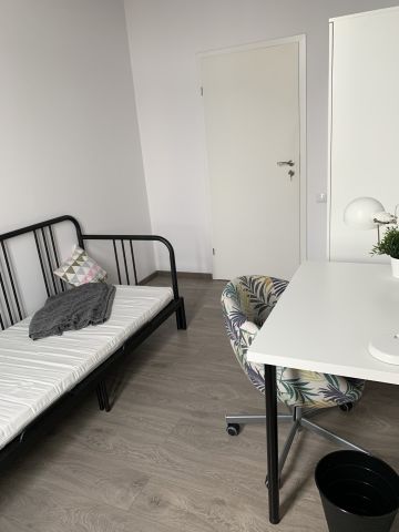 Mieszkanie 8-pokojowe Wrocław Stare Miasto. Zdjęcie 16
