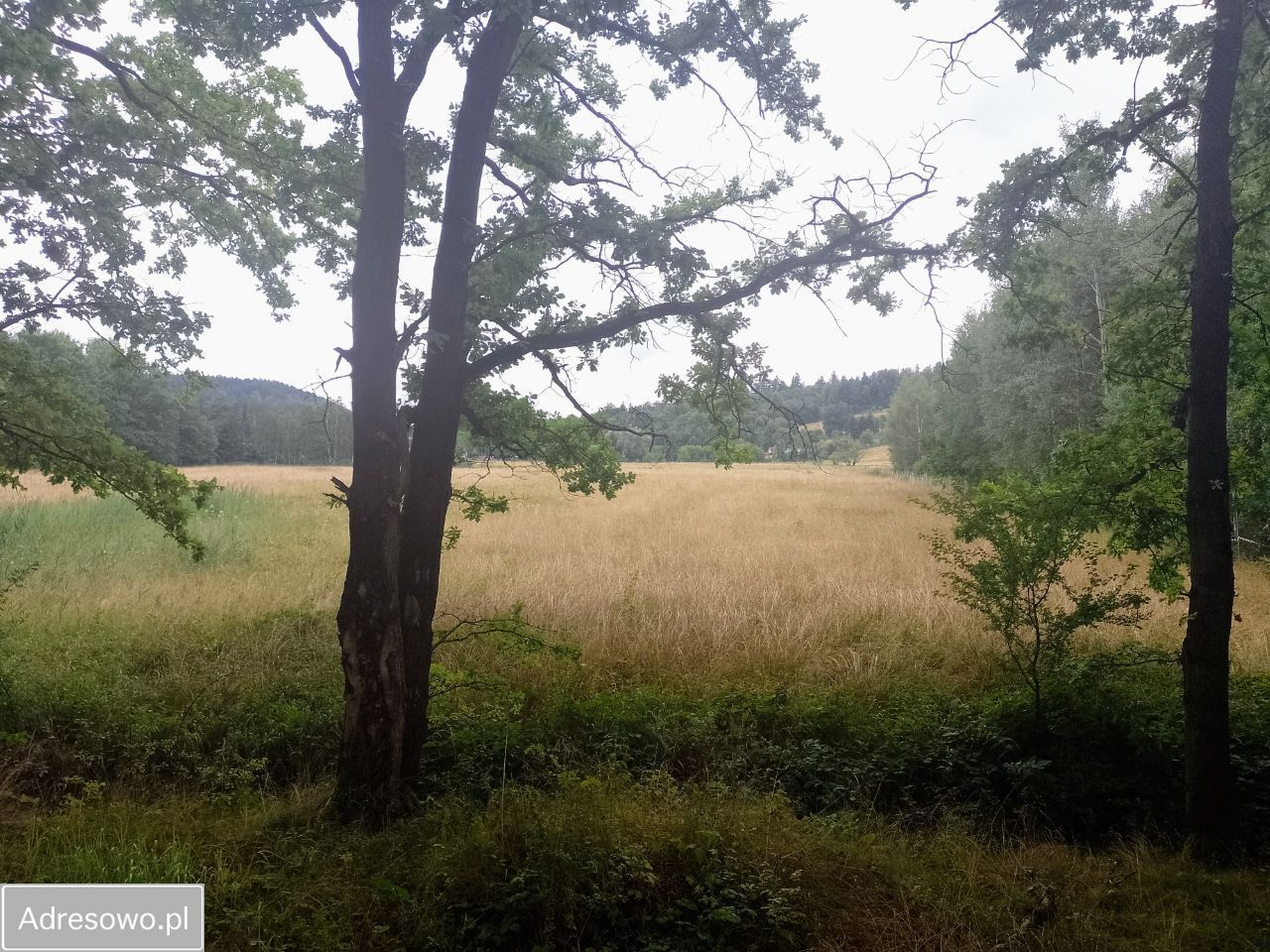 Działka budowlana Długopole Dolne. Zdjęcie 7