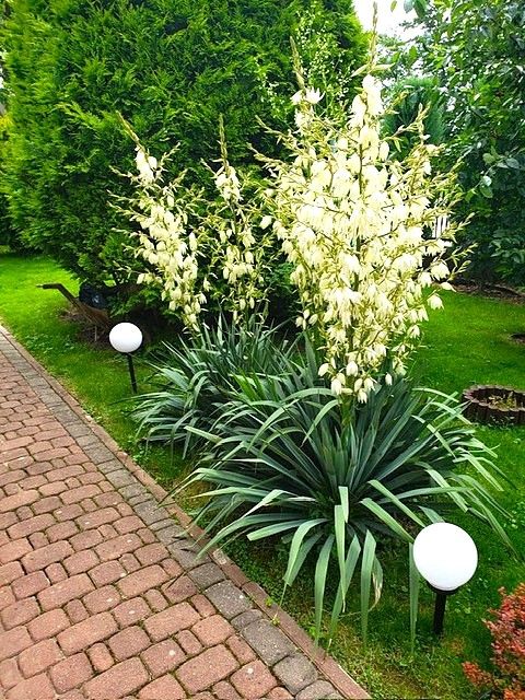 dom wolnostojący, 6 pokoi Ełk. Zdjęcie 5