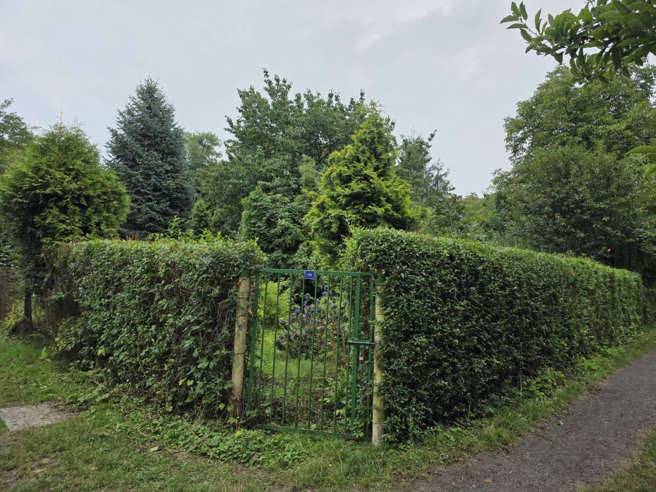 Działka rod Gliwice Trynek, ul. Feliksa Orlickiego. Zdjęcie 6