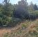 Działka inwestycyjna Kosów. Zdjęcie 2