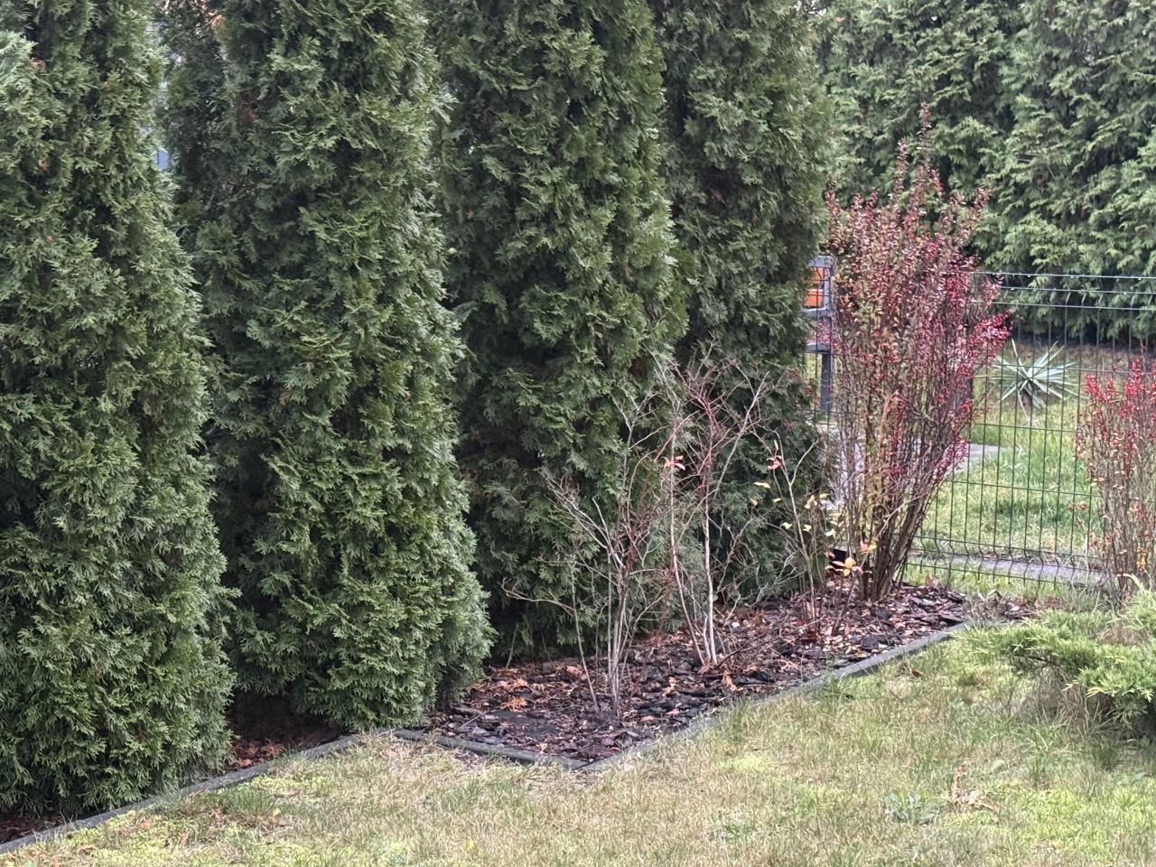 Mieszkanie 2-pokojowe Łódź Chojny, ul. Sąsiedzka. Zdjęcie 13