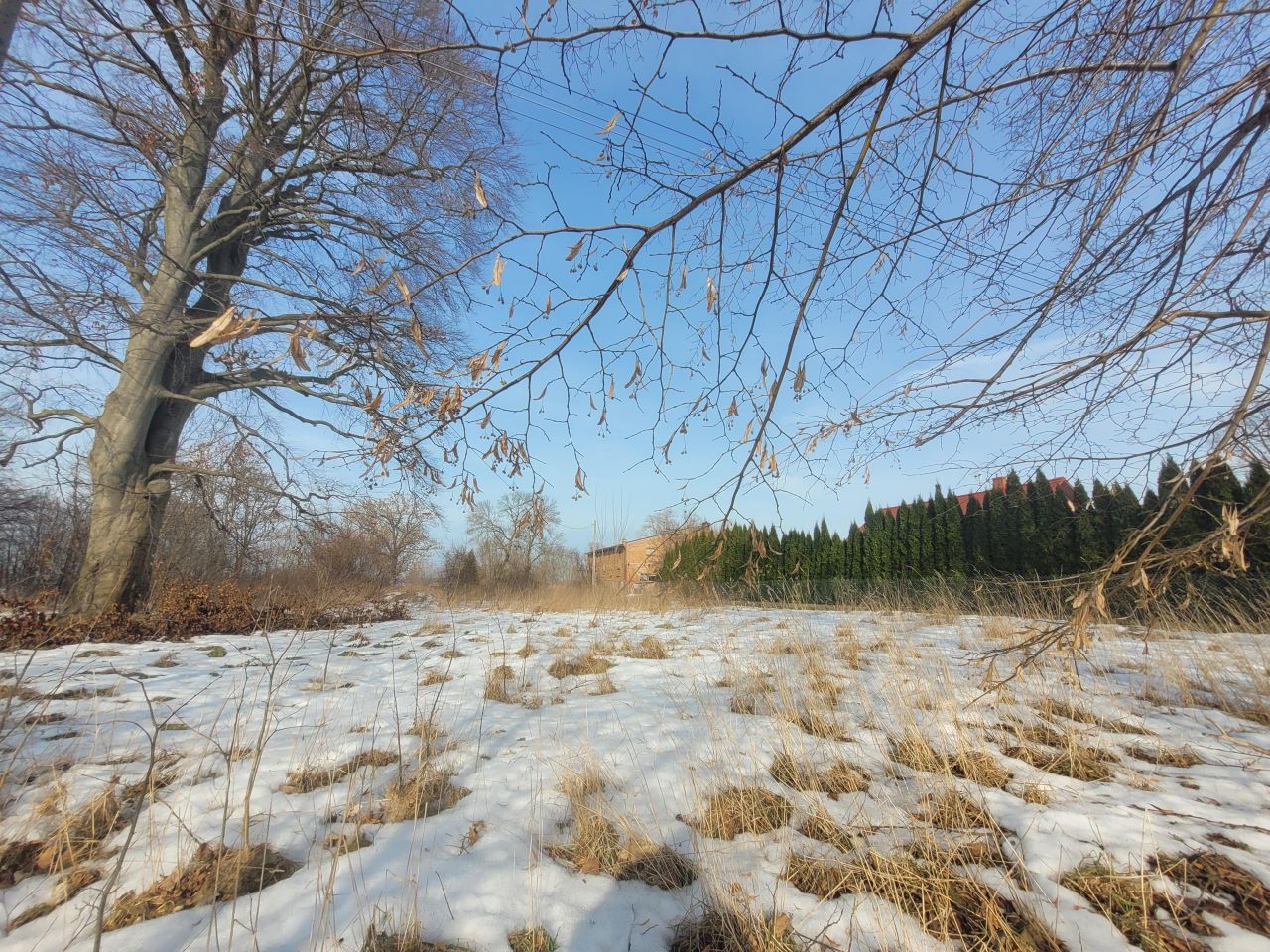 Działka siedliskowa Gdańsk Sobieszewo, ul. Dulkowa. Zdjęcie 6