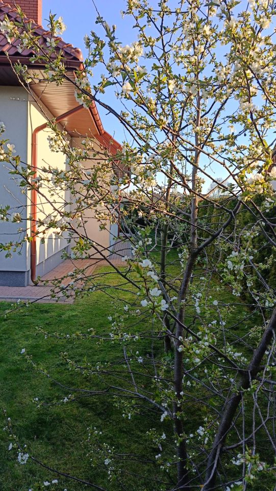 dom wolnostojący, 5 pokoi Michałów, Michałów. Zdjęcie 13