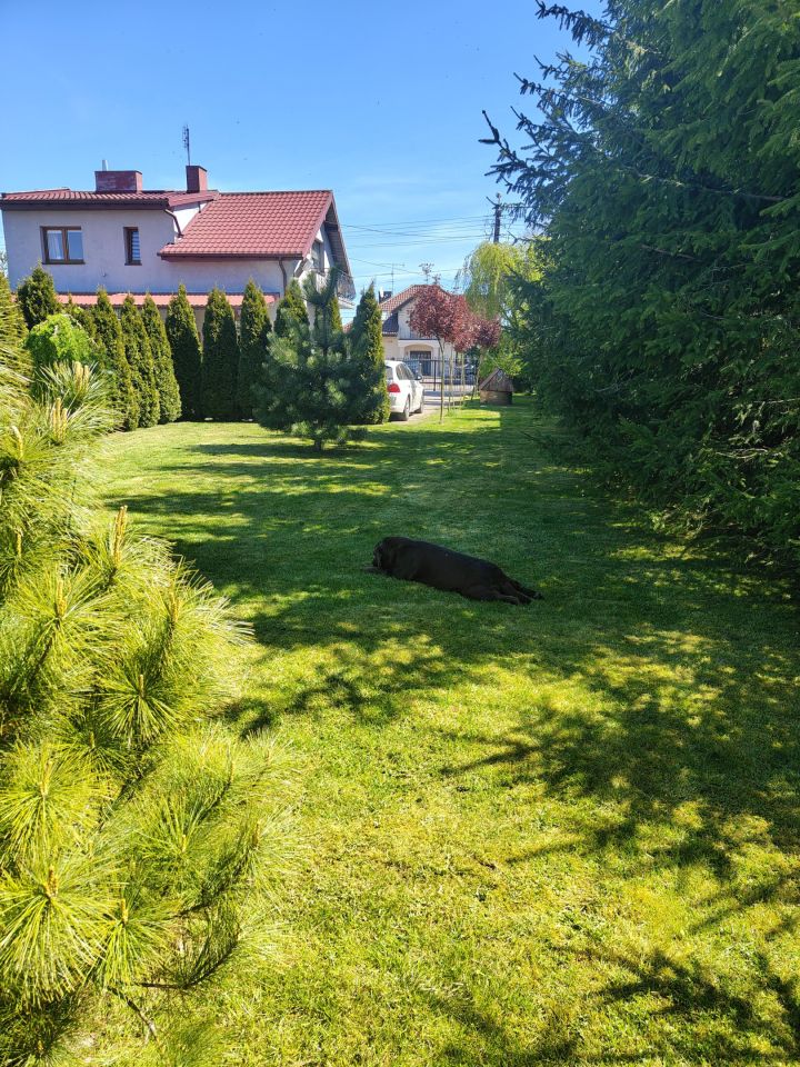 dom wolnostojący, 5 pokoi Łódź Górna, Bronisin. Zdjęcie 7