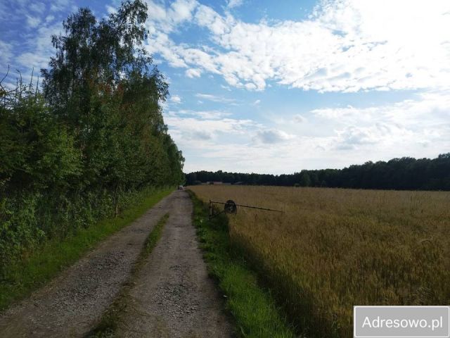 Działka rolna Lublin, ul. Cienista. Zdjęcie 1