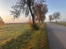 Działka budowlana Wiewiórów. Zdjęcie 1