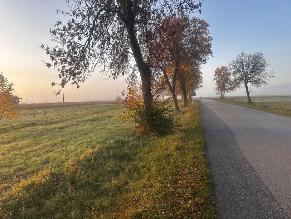 Działka budowlana Wiewiórów. Zdjęcie 2