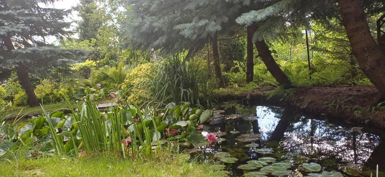 Działka rod Włocławek, ul. Kapitulna. Zdjęcie 4