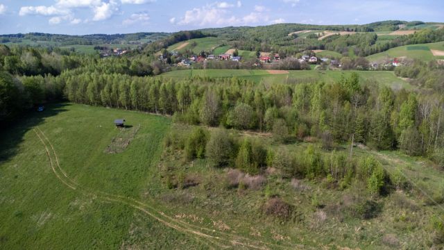 Działka rolna Laskówka. Zdjęcie 3