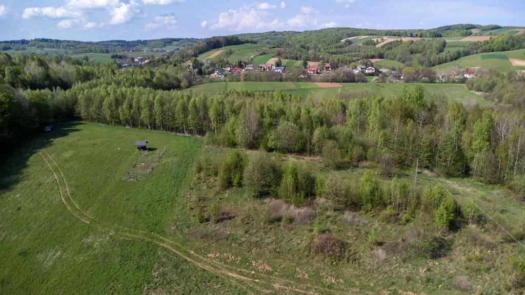 Działka rolna Laskówka. Zdjęcie 3