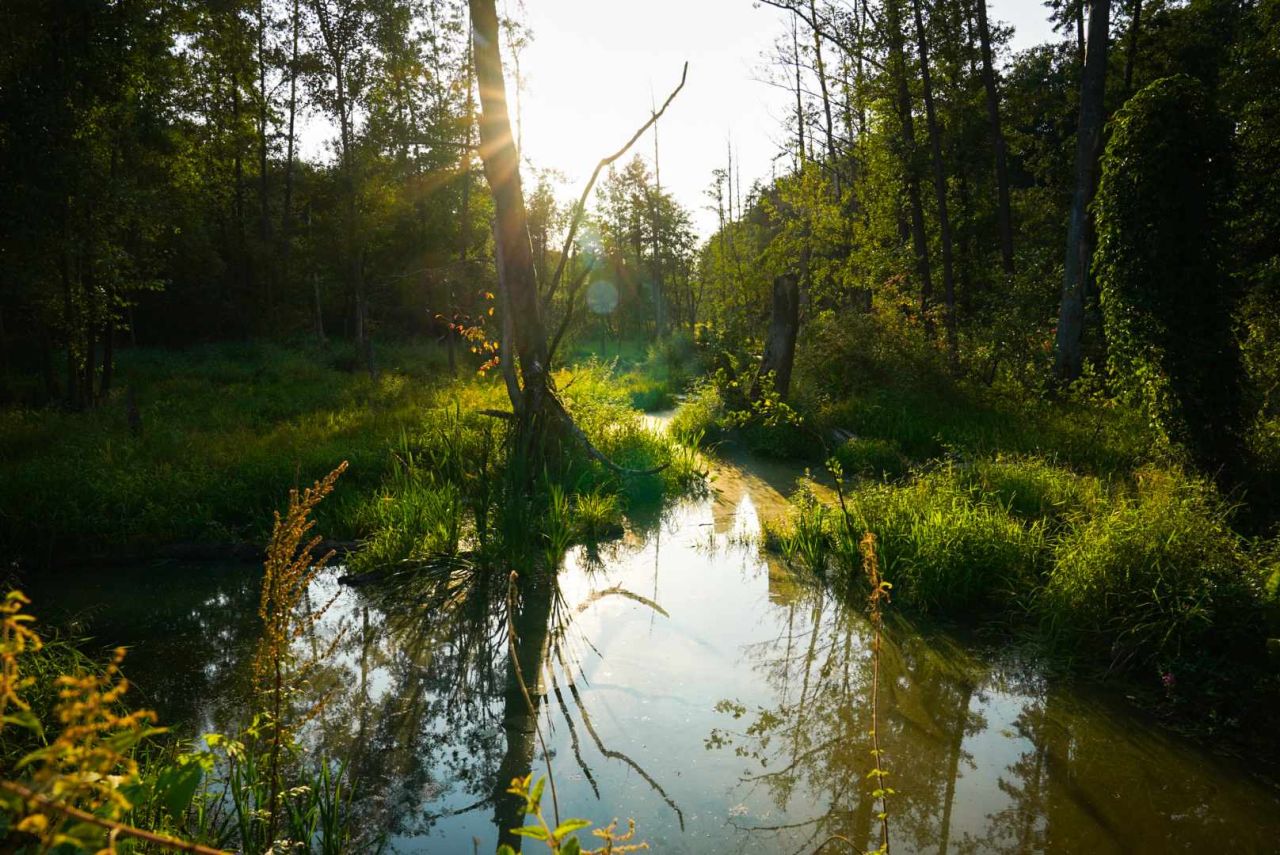 Działka budowlana Cychry. Zdjęcie 17