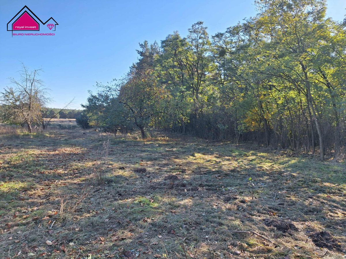 Działka budowlana Żółwieniec. Zdjęcie 3