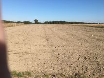 Działka Kostrzyn. Zdjęcie 1