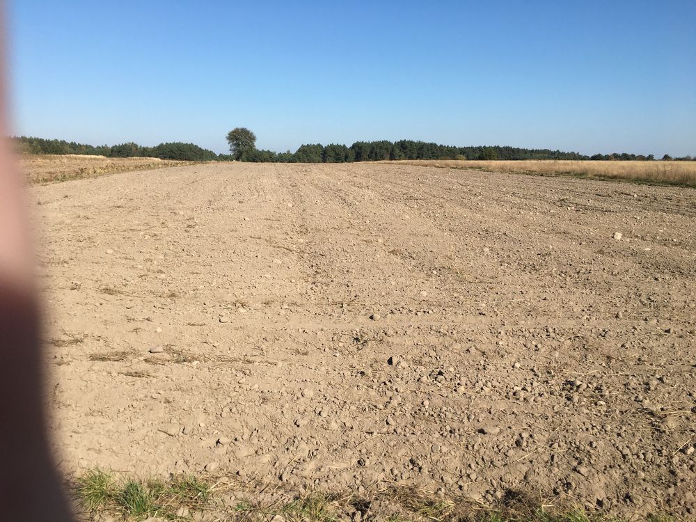 Działka Kostrzyn. Zdjęcie 2