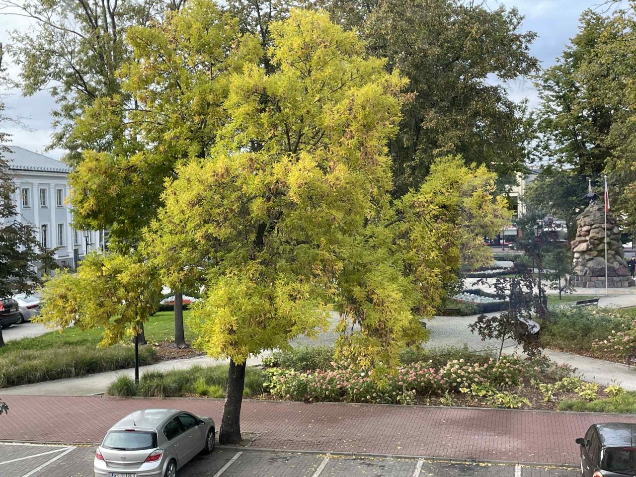 Mieszkanie 2-pokojowe Siedlce Centrum, ul. Kazimierza Pułaskiego. Zdjęcie 25