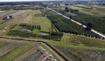 Działka rolna Boglewice