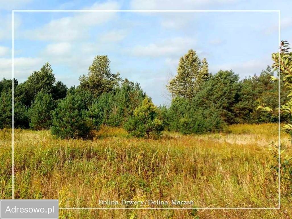 Działka budowlana Krobia, ul. Dolina Drwęcy. Zdjęcie 15