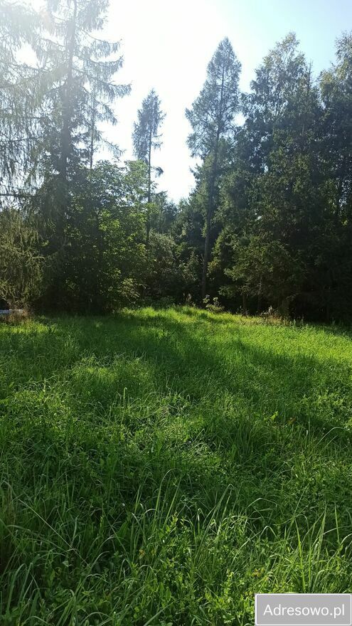 Działka budowlana Rudniki. Zdjęcie 4
