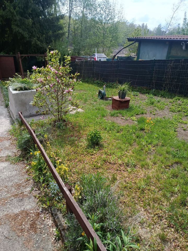 Działka rod Ruda Śląska, ul. Wincentego. Zdjęcie 6
