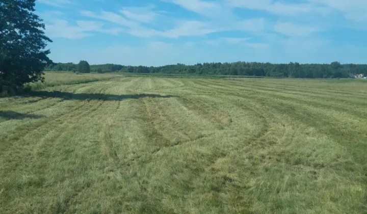 Działka rolna Brzeźno
