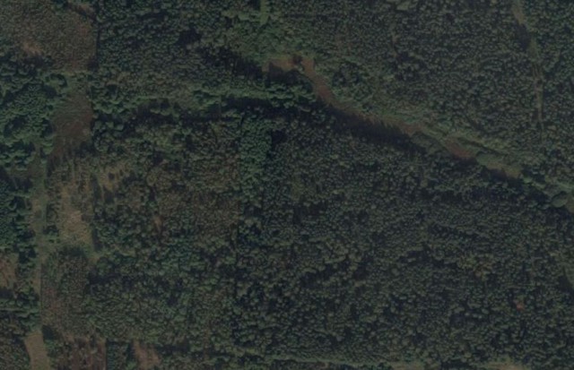 Działka leśna Hutka. Zdjęcie 1