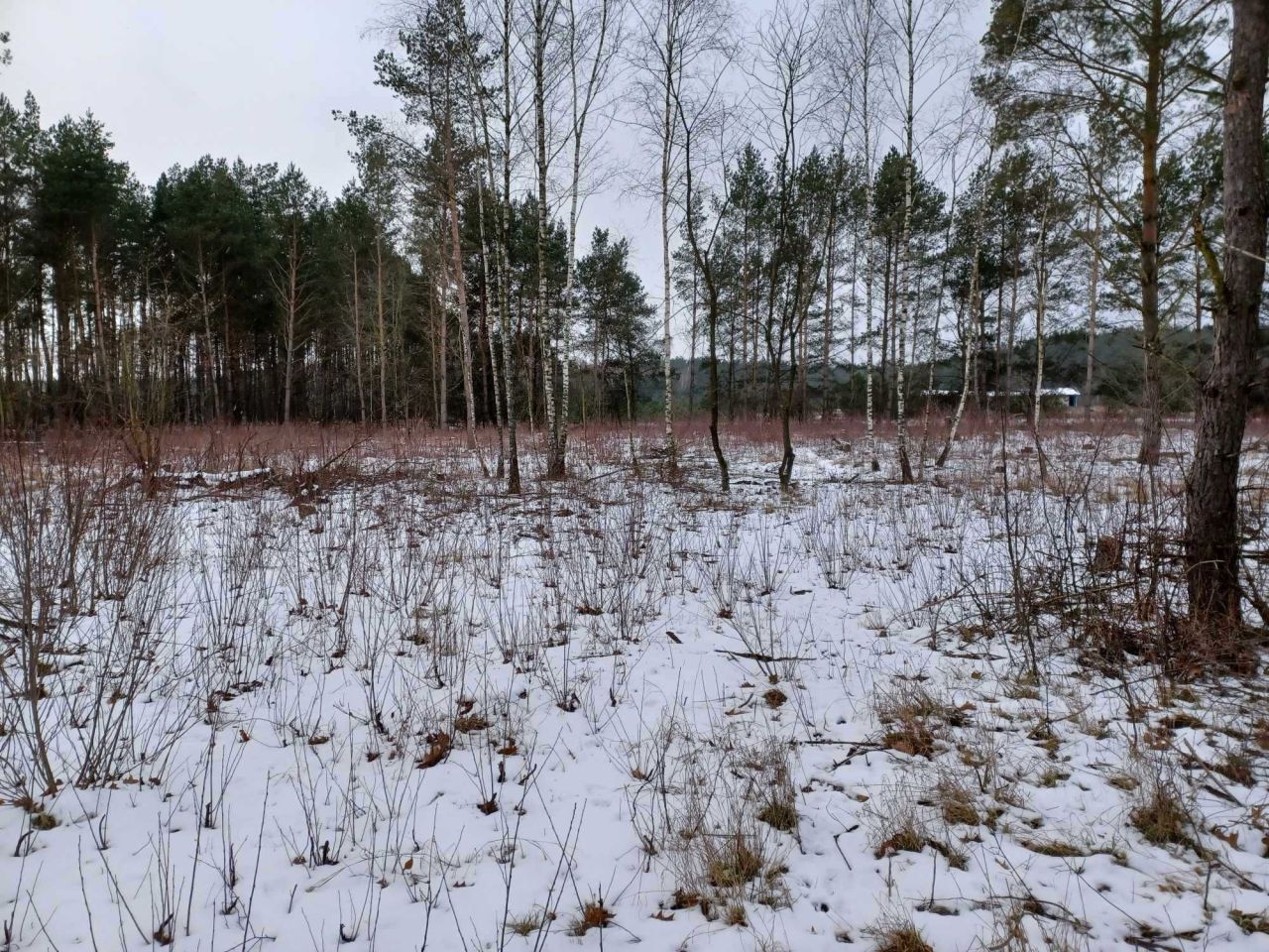 Działka rolna Małe Rudy, ul. Jeziorowa. Zdjęcie 10