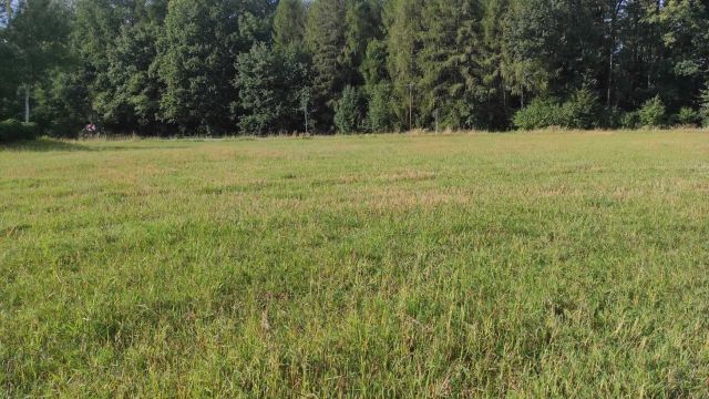 Działka budowlana Kostkowice, ul. Dębowiecka. Zdjęcie 1