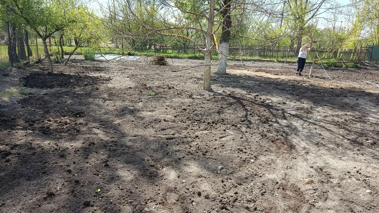 siedlisko, 2 pokoje Niedziałowice Pierwsze. Zdjęcie 11