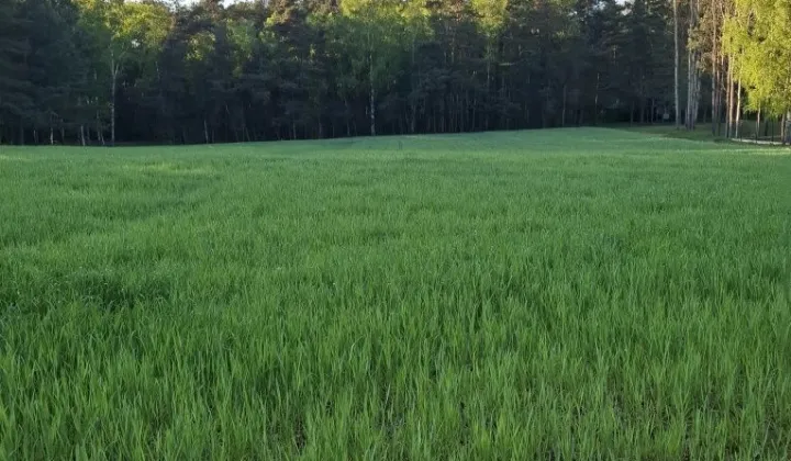 Działka budowlana Nowostawy Dolne