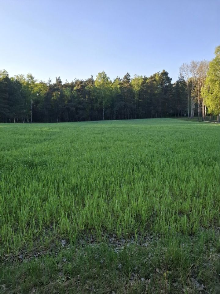 Działka budowlana Nowostawy Dolne