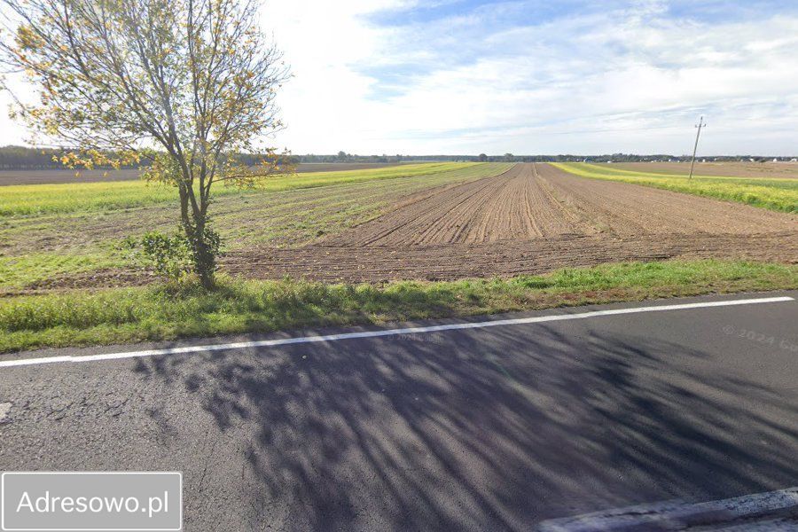 Działka rolno-budowlana Radziechowice Pierwsze. Zdjęcie 2