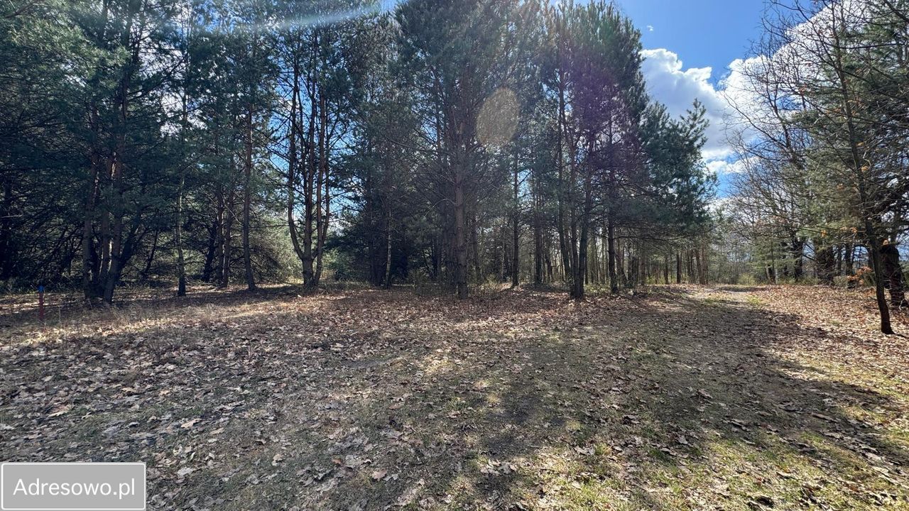 Działka budowlana Ignacówka Bobrowska. Zdjęcie 4