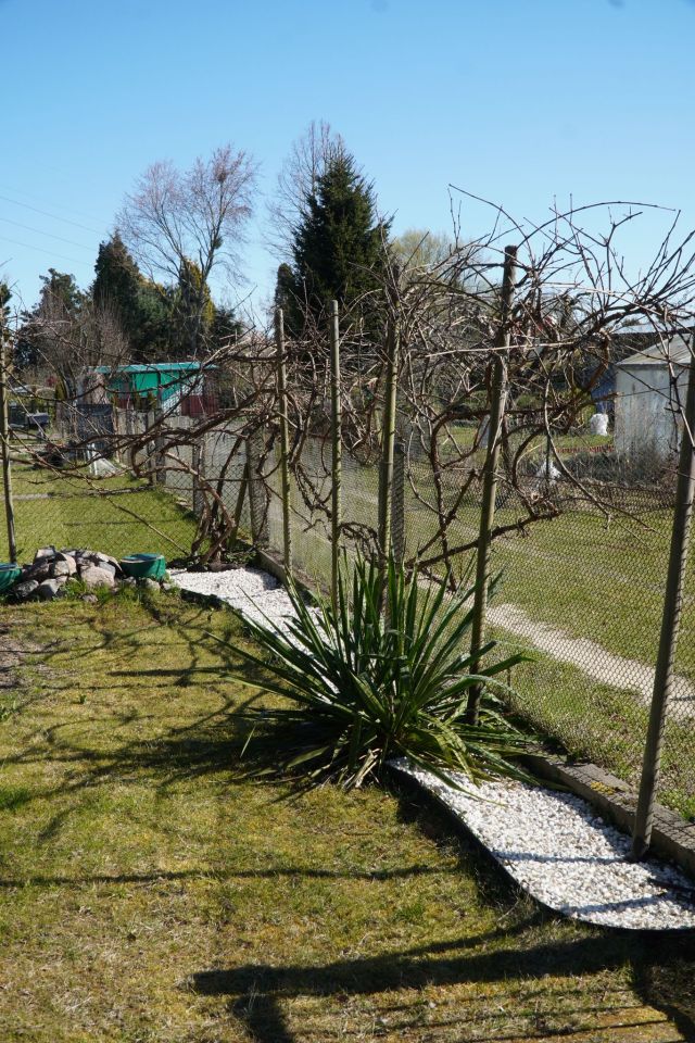 Działka rod Szczecin, ul. Szosa Polska. Zdjęcie 57