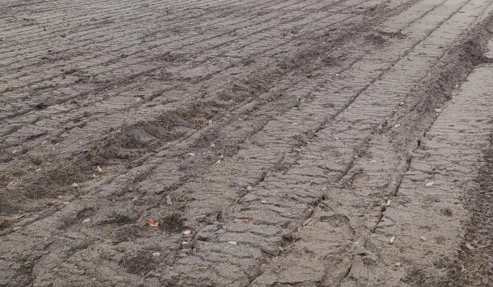 Działka budowlana Dalekie