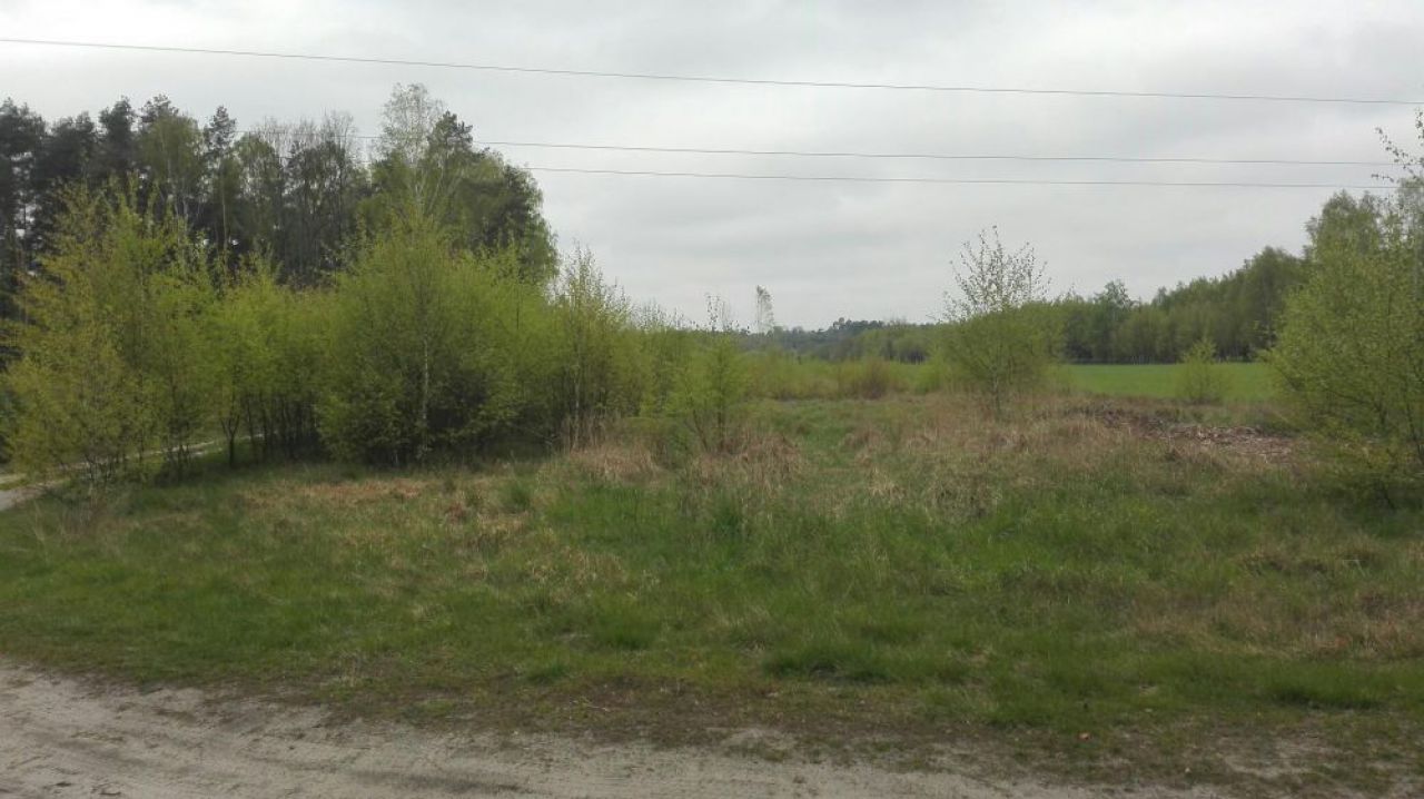 Działka leśna Bałdrzychów. Zdjęcie 5