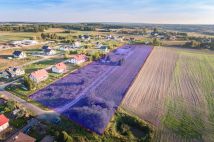 Działka budowlana Przyjaźń Mała Przyjaźń, ul. Łapińska. Zdjęcie 1