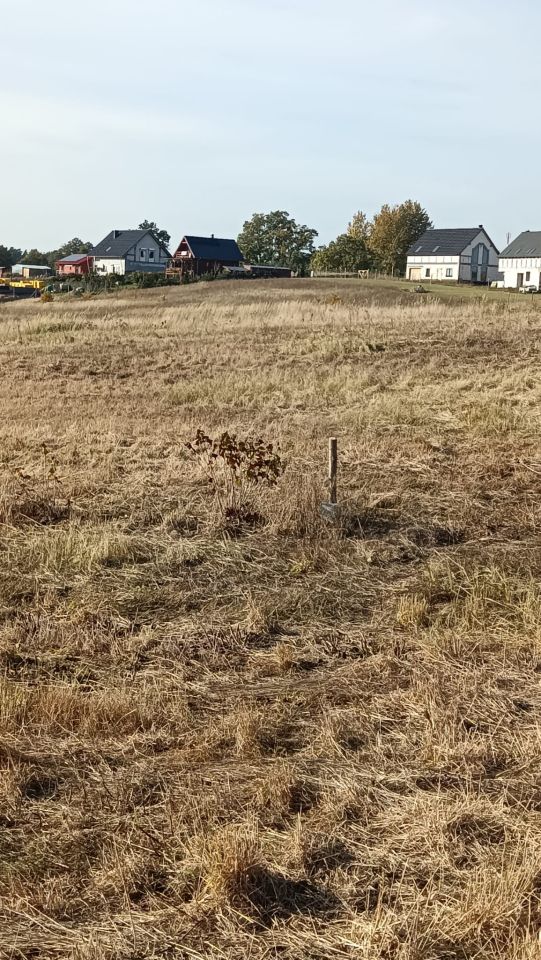 Działka budowlana Strączno. Zdjęcie 2