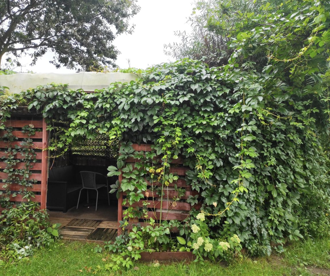 Działka rekreacyjna Jaroszowice Zbywaczówka. Zdjęcie 10