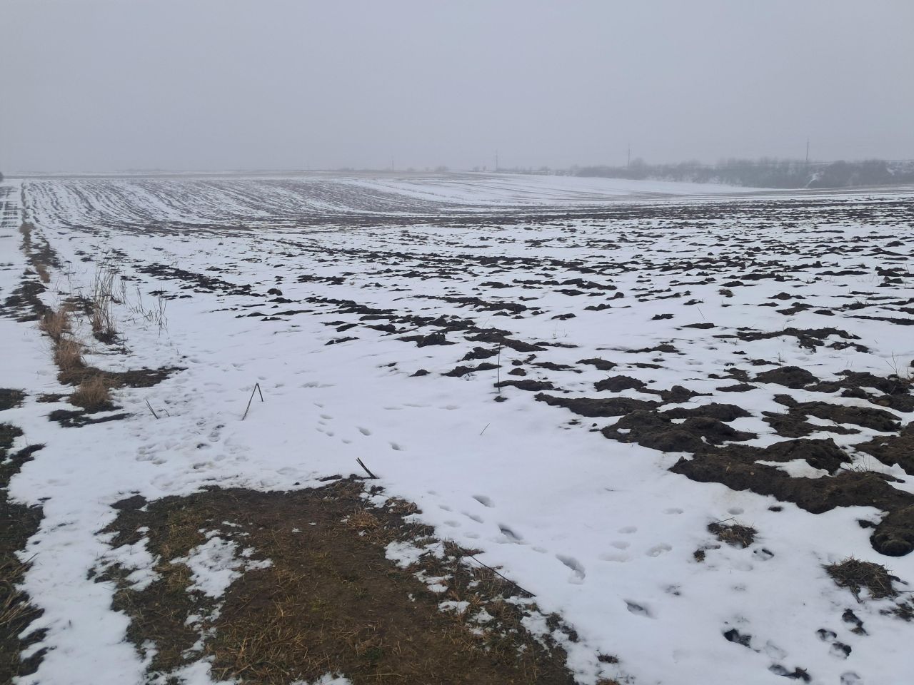 Działka budowlana Górki, ul. Słoneczna. Zdjęcie 4