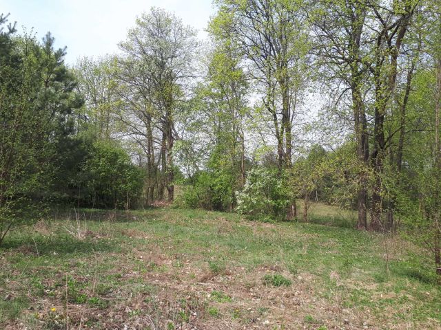 Działka rolno-budowlana Tylkowo. Zdjęcie 1