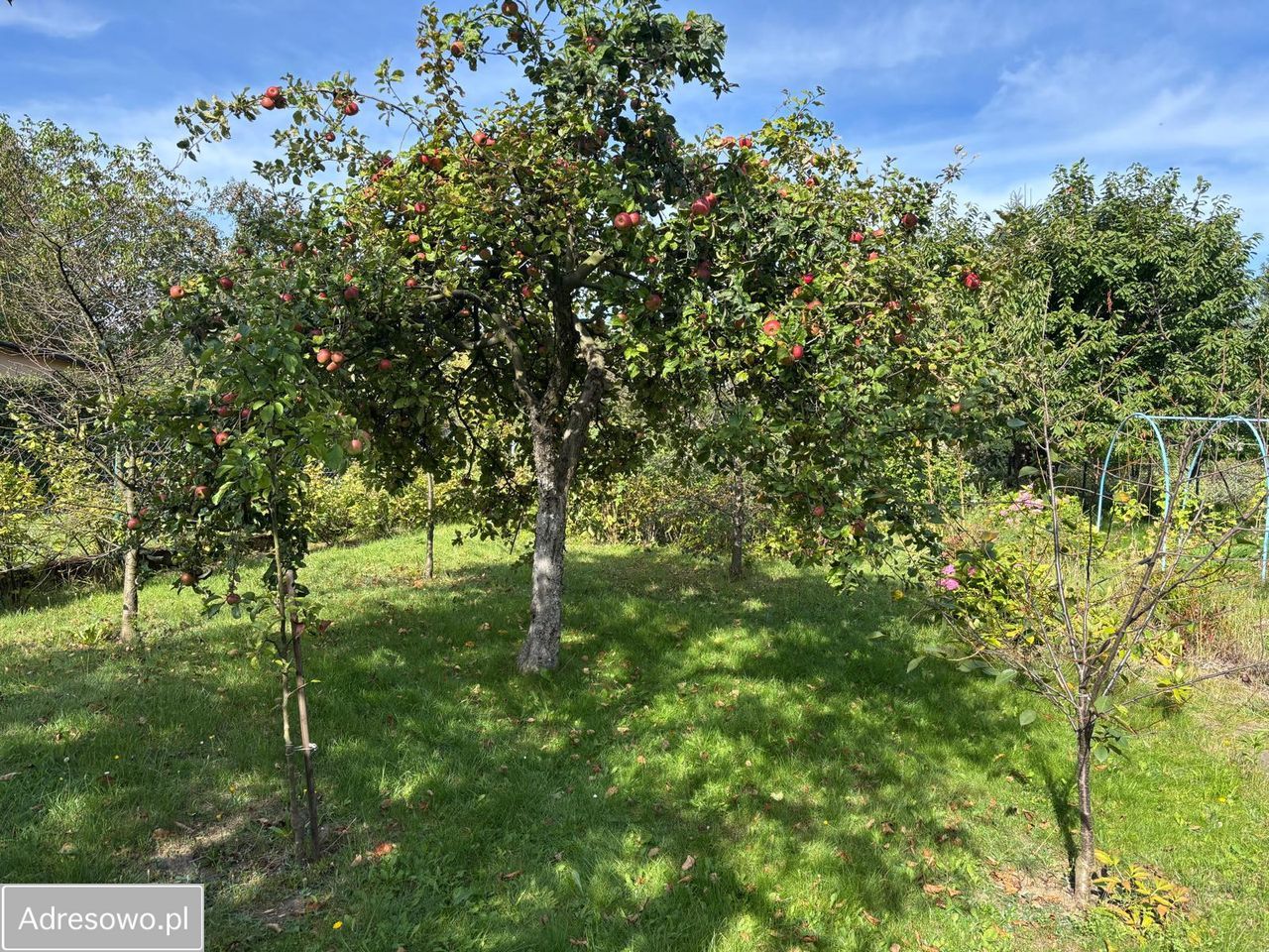 Działka rekreacyjna Sosnowiec Pogoń. Zdjęcie 8
