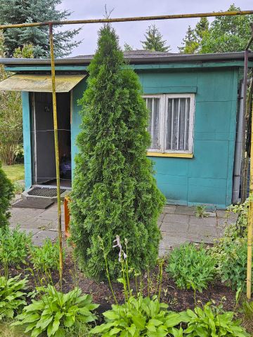 Działka rod Warszawa. Zdjęcie 1