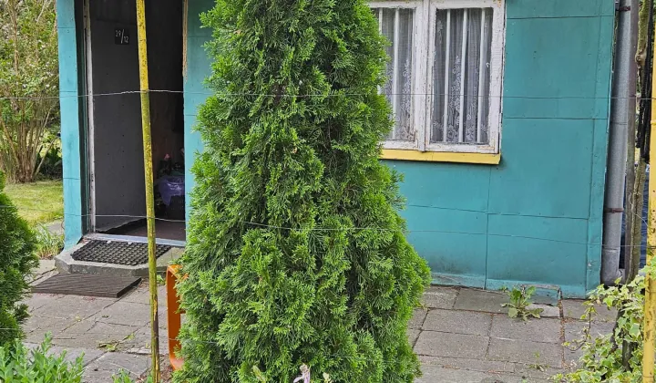 Działka rod Warszawa